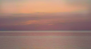 예술의 영감을 담은 물감 팔레트 | 