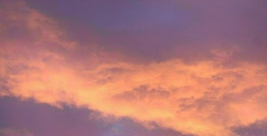 맛있는 추억을 담은 레시피 카드 세트 | 