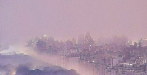 편안한 휴식을 담은 아로마 오일 블렌드 | 