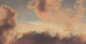 남바완 자유의 날갯짓을 담은 날개 모양 귀걸이 | 브랜드원